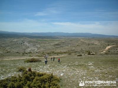 Barranco de Borbocid - caminando Guadalajara; montañismo madrid; senderismo sierra madrid